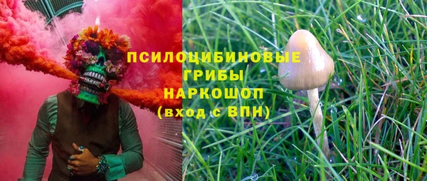 соль курить ск Алзамай