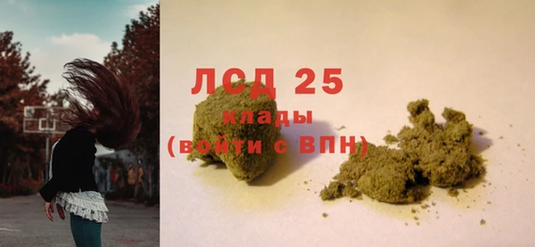 ГАЛЛЮЦИНОГЕННЫЕ ГРИБЫ Алексеевка