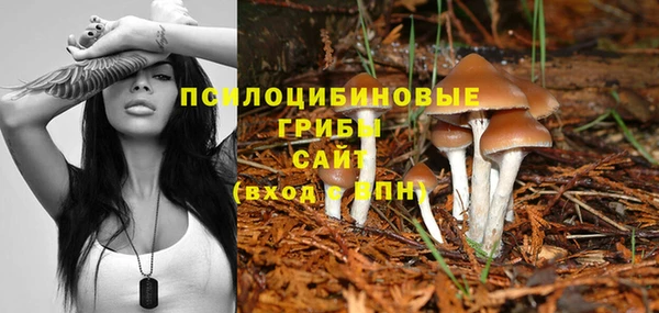 эйфоретик Алексин