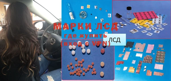 ГАЛЛЮЦИНОГЕННЫЕ ГРИБЫ Алексеевка