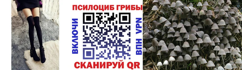 Галлюциногенные грибы мухоморы  магазин  наркотиков  darknet состав  Буй 